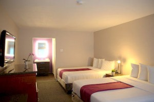 Hotel Iris - 2 Queen Bed Room